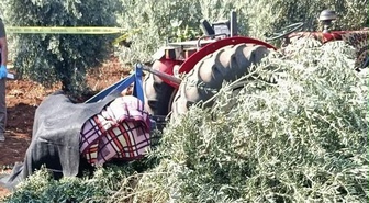 İddiaya göre zeytin tarlasında dengesini kaybeden M.Ü. traktörün arkasına düşüp öldü