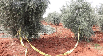 Kilis'te iddiaya göre tarlasında çalışırken traktörden düşen çiftçi hayatını kaybetti