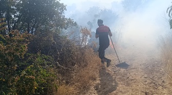 Siirt Doluharman'da orman yangınına Orman ve itfaiye ekipleri yaya müdahale ediyor