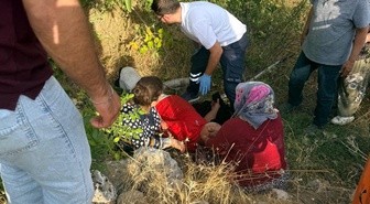 Adıyaman Gölbaşı'nda ceviz toplamak için ağaca çıkan kişi düşerek yaralandı