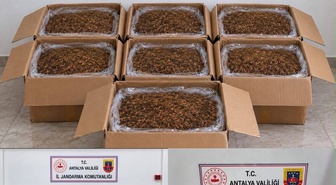 Antalya Alanya ve Döşemealtı'nda 210 kg tütün ve 377 paket kaçak sigara ele geçirildi