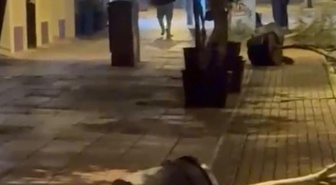 Eskişehir'de saksıları tek tek deviren kişi cep telefonu kamerasıyla görüntülendi
