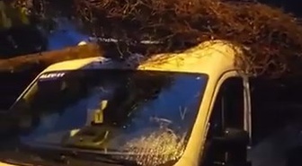 Kadıköy'de servis minibüsüne devrilen ağaç itfaiye tarafından kesilerek kaldırıldı