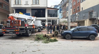 Kocaeli Gebze'de park halindeki cipin üzerine devrilen ağaç hasara yol açtı