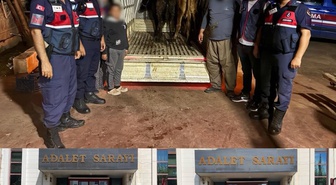 Korkuteli'de çalınan hayvanları satan 2 şüpheliden biri tutuklandı