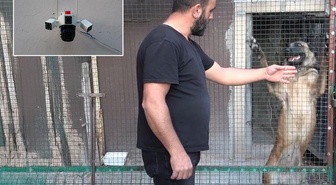 800 bin TL'lik güvercinlere servet gibi koruma! Kamera, çelik kapı ve kurt köpeği