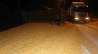 Amasya'da su içmek isteyen tır sürücüsü kontrolü kaybetti, 25 ton mısır yola savruldu
