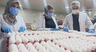 ATSO üyesi Kumartaşlı, maliyet artışına rağmen yumurtada kısa vadede zam beklemiyor