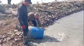 Edirne Meriç'te sulama kanalında mahsur kalan balıklar amatör balıkçılarca kurtarıldı