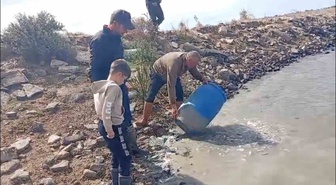 Edirne Meriç'teki Küplü beldesinde mahsur kalan balıklar göletlere bırakıldı