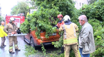 İstanbul Kadıköy'de kuvvetli rüzgar park halindeki otomobilin üzerine ağaç devirdi