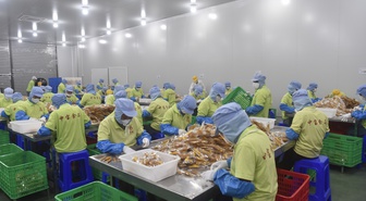 Zhong Bao, Çin'e 12.000 ton kurutulmuş mango ihraç etti, 2026 için kapasite artırıyor