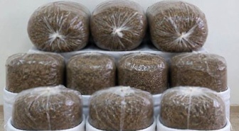 Antalya'da jandarma operasyonunda 400 kilogram kaçak tütün ele geçirildi