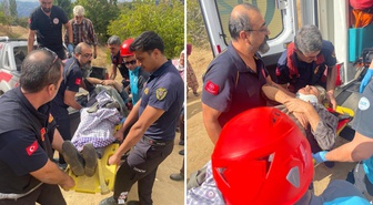 73 yaşındaki kadın ağaçtan düştü