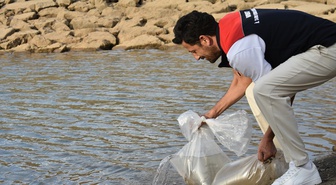Bayburt'ta göletlere 150 bin sazan yavrusu bırakılarak stoklar güçlendirilecek