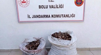 Bolu'da izinsiz 60 kilogram salyangoz toplayan 2 kişi jandarma denetiminde yakalandı