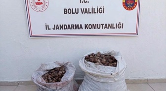 Bolu'nun Çobankaya köyünde izinsiz salyangoz toplayan 2 kişiye idari işlem uygulandı