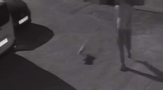 İzmir'de köpeğini tekmeleyen şahıs gözaltına alındı! Vicdanları yaralayan görüntü