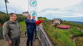 Rize'de arı şahinleri göç yolculuğuna uğurlandı, birine takip çipi takıldı