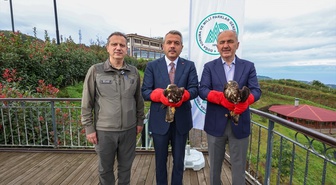 Rize'de tedavi edilen 2 arı şahini Isırlık Tabiat Parkı'nda doğaya salındı