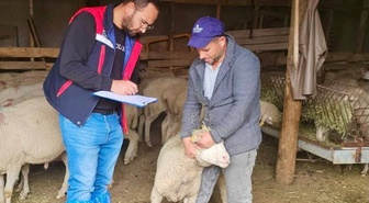 Afyonkarahisar Bayat'ta Sürdürülebilir Koyun Projesi işletmelerinde denetim yapıldı