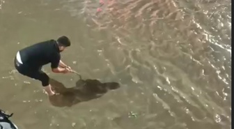 Batman’da sağanak hayatı olumsuz etkiledi