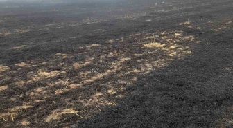 Elazığ Kovancılar'da Çakırkaş köyündeki anız yangınını itfaiye ekipleri söndürdü