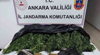Ankara Elmadağ'da 1 şüpheli gözaltına alındı, 2 kilo 600 gram skunk ele geçirildi
