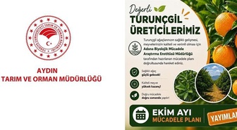 Aydın Tarım ve Orman Müdürlüğü, turunçgil üreticilerini Ekim ayı mücadelesine uyardı
