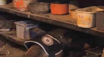Bingöl'de operasyonda 76,12 gram skunk ele geçirildi, 1 şüpheli tutuklandı