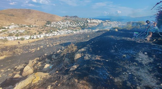 Bodrum Akyarlar'da makilik alandaki yangın itfaiyenin müdahalesiyle söndürüldü