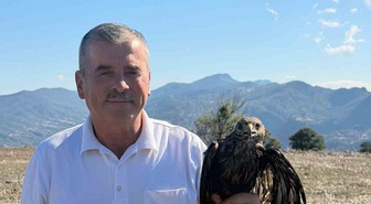 Bolu Göynük'te kanatları asfalta bulaşan şahini muhtar Metin Keskin doğaya bıraktı
