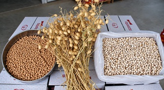 Denizli Ticaret Borsası'nın Borsa-20 nohudundan Serinhisar'da leblebi üretimi başladı