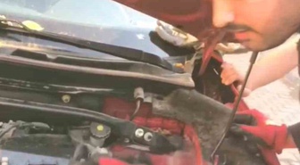Dicle Üniversitesi lojmanlarında motora sıkışan 3 yavru kediyi itfaiye kurtardı
