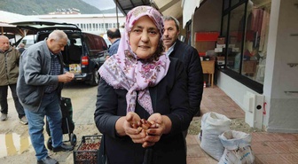 Sinop Erfelek'te kuzu kestanesi hasadı başladı, tezgahlarda 600 liradan satılıyor