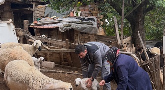 Yozgat'ta orman köylülerine ORKÖY projesiyle büyükbaş ve küçükbaş desteği verildi