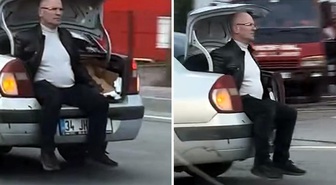 Avcılar'da yaralı kedi için bagajda yolculuk yapan Gürsel Demir'in çabası boşa çıktı