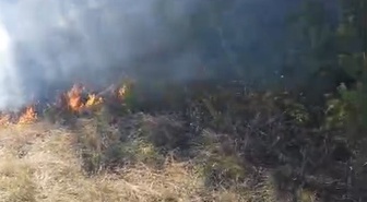 Bolu Mudurnu'da rüzgarın etkisiyle ormana sıçrayan anız yangını söndürüldü