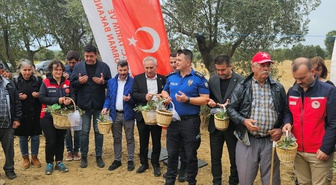 Eceabat'ta zeytinyağı festivali sona erdi, Kaymakam Yenigün bereketli sezon diledi