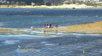 Edirne'de Meriç Nehri'nde erkek cesedi bulundu, düzensiz göçmene ait olabilir