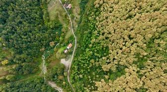 Sinop Türkeli'de sonbahar renkleriyle görsel şölen sunan ormanlar dronla görüntülendi
