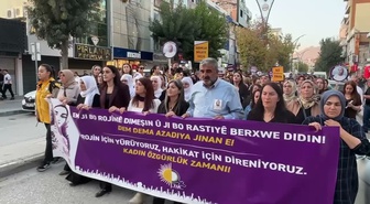 Van'da Rojin Kabaiş dosyası 2 yıldır karanlıkta, baba katillerin bulunmasını istedi