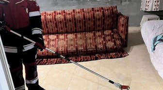 Hatay Samandağ'da yerleşim alanında görülen yılan itfaiyece yakalanıp doğaya salındı