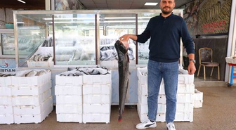 Kahramanmaraş'ta balık sezonu başladı, fiyatlar 200 ile 1000 lira arasında değişiyor