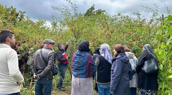 Eskişehir'den gelen kadın çiftçiler Kütahya'da kuşburnu ve ahududu üretimini öğrendi