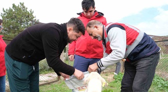 Kütahya Vakıflar Bölge Müdürlüğü sahipsiz hayvanlara mama desteği verdi
