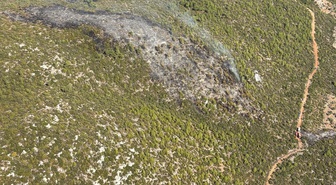 Muğla Bodrum'da orman yangını yaklaşık 2,5 saatlik müdahaleyle kontrol altına alındı
