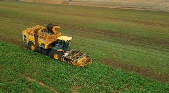 Tekirdağ Çorlu'da 120 dekarda şeker pancarı hasadında dekara 10 ton verim alındı