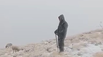 Tunceli Ovacık'ta kar yağışı etkili oldu, çoban koyunlarını karlar altında otlattı