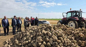 Aksaray Sultanhanı'nda şeker pancarı hasadı başladı, Kaymakam Yerlikaya bilgi aldı
